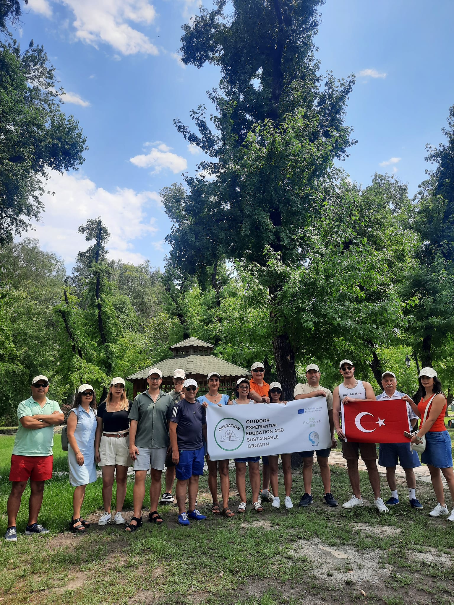 Liquidamber Orientalis Sığla ağacı